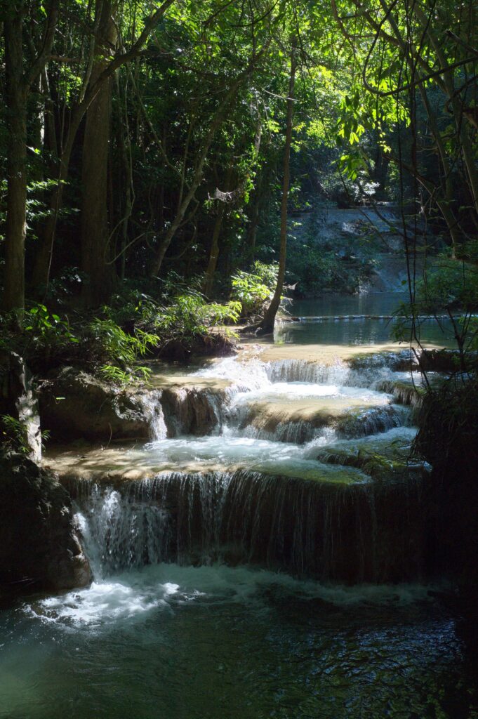 Free stock photo of cascading waterfall, dense forest, forest